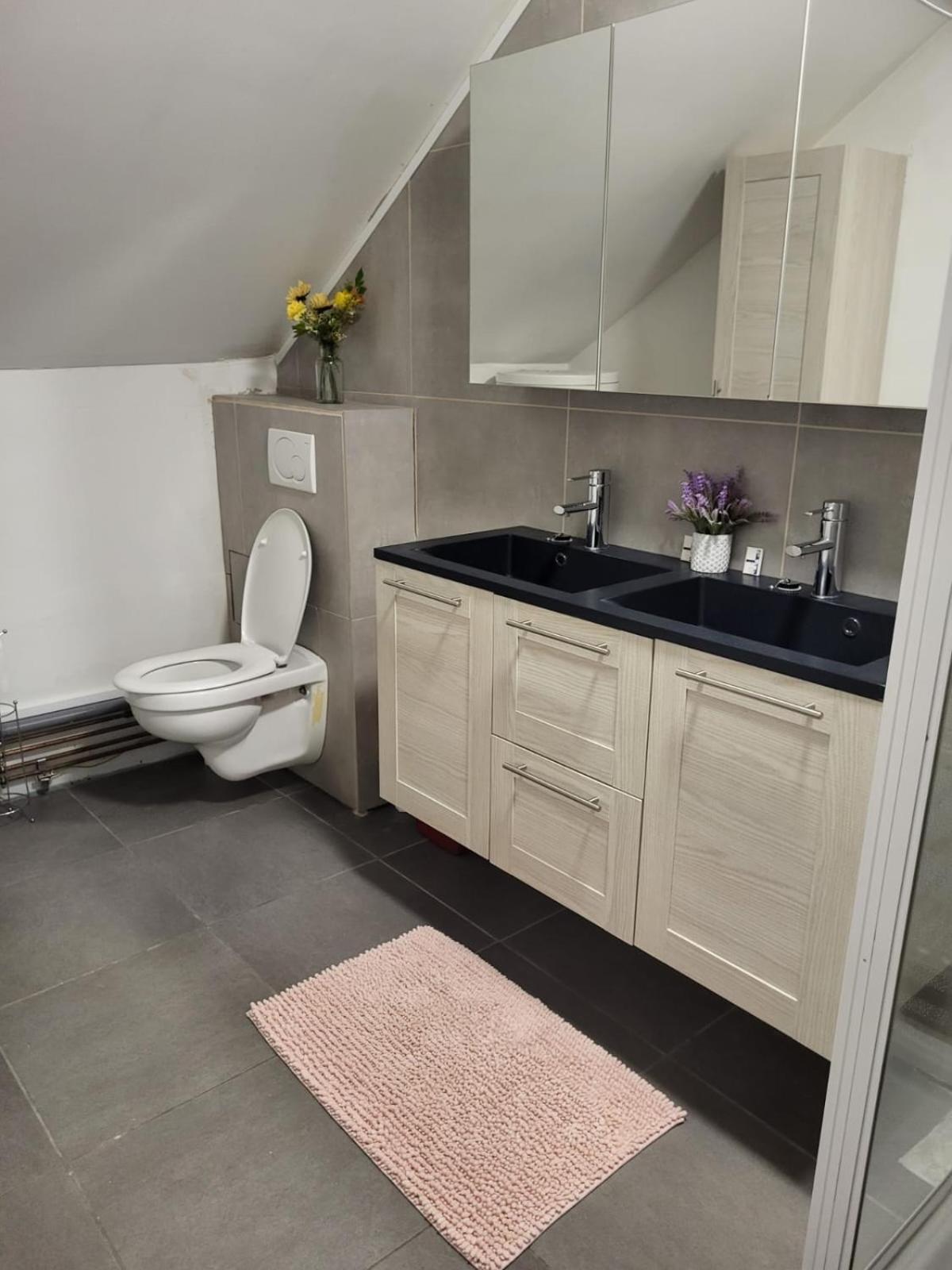 2Pas2Meuse Apartman Waulsort Kültér fotó